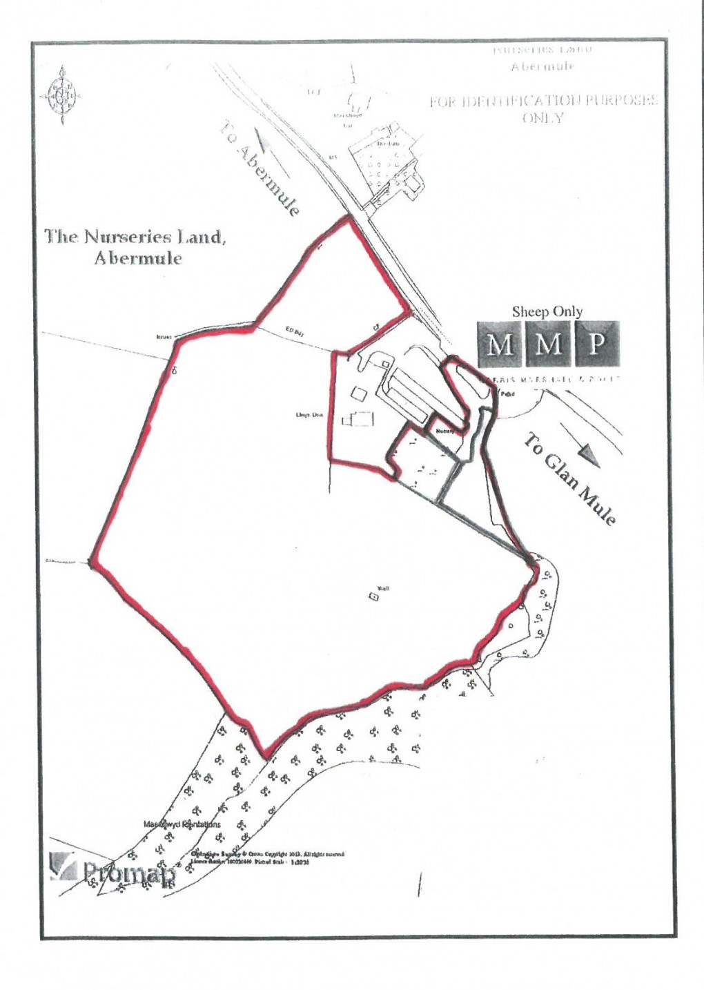 Floorplan for Abermule Nursery Land, Abermule, Montgomery, Powys