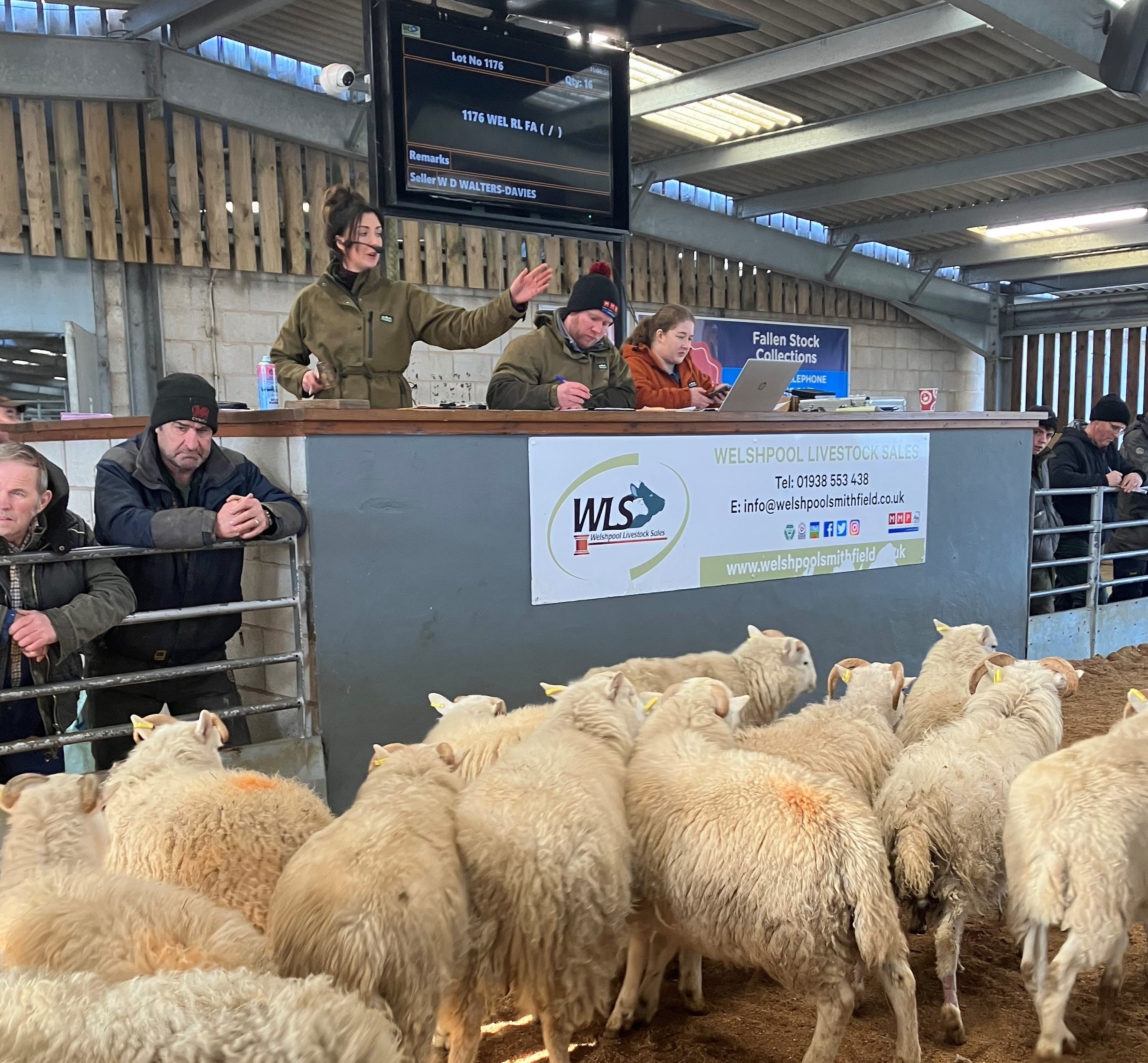 A Day in the Life of Gwawr Jones Livestock Auctioneer Morris