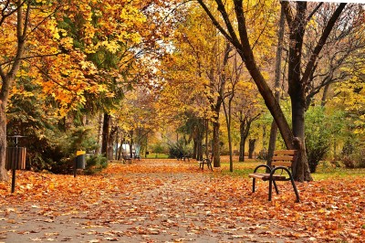 Autumn Property Market Report