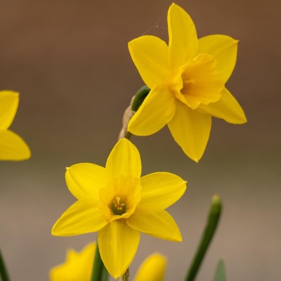 UK housing market gains momentum as confidence builds in 2026